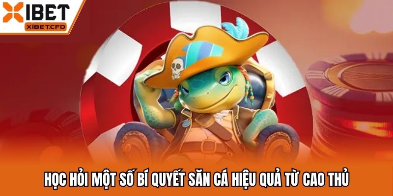Học hỏi một số bí quyết săn cá hiệu quả từ cao thủ