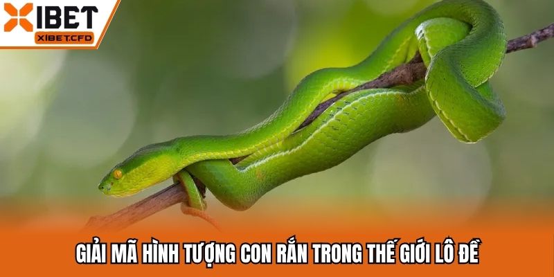 Giải mã hình tượng con rắn trong thế giới lô đề