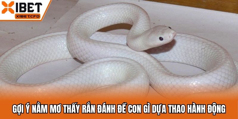 Gợi ý nằm mơ thấy rắn đánh đề con gì dựa thao hành động