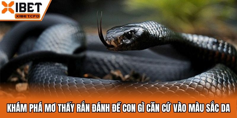 Khám phá mơ thấy rắn đánh đề con gì căn cứ vào màu sắc da