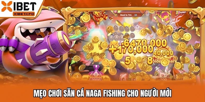 Mẹo chơi săn cá naga fishing cho người mới