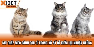 Mơ Thấy Mèo Đánh Con Gì Trong Xổ Số Dễ Kiếm Lợi Nhuận Khủng