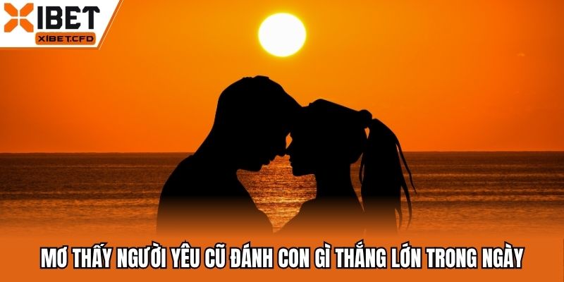 Mơ Thấy Người Yêu Cũ Đánh Con Gì Thắng Lớn Trong Ngày