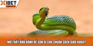 Mơ Thấy Rắn Đánh Đề Con Gì Cho Chuẩn Sách Giáo Khoa?