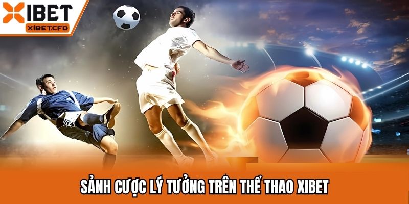 Sảnh cược lý tưởng trên thể thao Xibet
