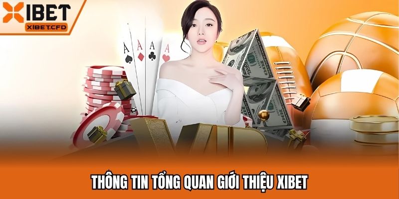 Thông tin tổng quan giới thiệu Xibet