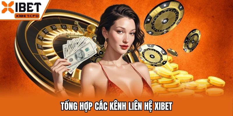 Tổng hợp 4 kênh liên hệ tiện lợi nhất 2025