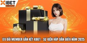 Ưu Đãi Member Gắn Kết Xibet - Sự Kiện Hấp Dẫn Giữa Năm 2025