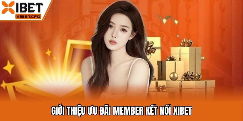 Ưu đãi member gắn kết Xibet vô cùng ý nghĩa